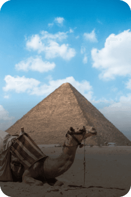 Cairo